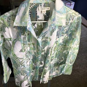 Subtle yet stunning sheer top